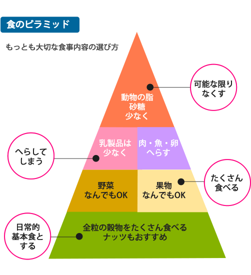 食のピラミッド